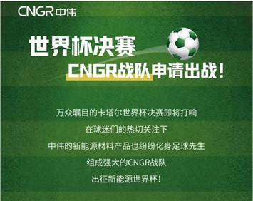 世界杯決賽 | CNGR戰隊申請出戰！